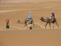 Mej-li jako dromedary woman
